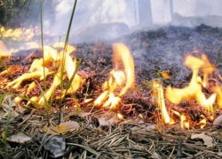 Ставропольские пожарные за сутки 40 раз выезжали бороться с горящим мусором