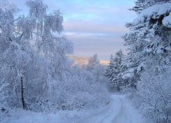 В новогодние каникулы ставрополец получил обморожение ног