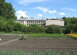 Директор одной из школ Ставропольского края попала под следствие