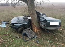 Уроженец Дагестана погиб, врезавшись на «легковушке  в дерево на Ставрополье