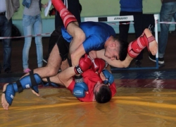 Воины панкратиона скоро появятся на Ставрополье