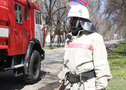 «Гранта» разбилась всмятку после ДТП с деревом на Ставрополье — погиб водитель 