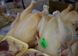 Фермер требует через суд более 8 миллионов рублей со «Ставропольского бройлера» 