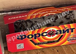 Полчища тараканов в элитной гимназии возмутили жителей и умилили мэра Невинномысска