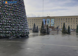 В новогодние праздники 24 магазина будут работать в Ставрополе круглосуточно