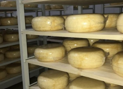 50 тонн контрафактного сыра изъяли на Ставрополье