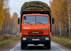 Более 200 тысяч рублей взыскали со ставропольского водителя большегруза за испорченную дорогу