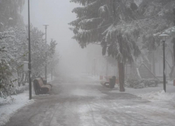 Очередной режим повышенной готовности ввели на Ставрополье из-за 5-градусных заморозков 