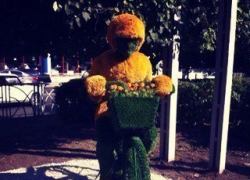 На памятник велосипедисту в Ставрополе снова напали вандалы