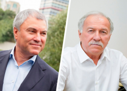 Председатель ГД Володин заявил, что после гибели девочки в Ставрополе регионам «развяжут руки» по собачьему вопросу 