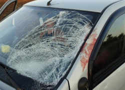 Гулявший по дороге мужчина погиб под колесами "Рено" на Ставрополье