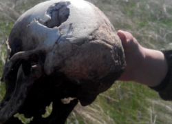 Студенты нашли простреленный череп пропавшего парня