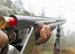 На Ставрополье преступники угрожали ружьем пастуху и застрелили двух овец