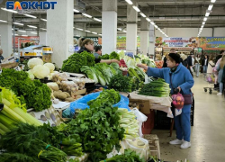 Огурцы возвращают адекватный  ценник? Овощ на Ставрополье подешевел более чем на 13%