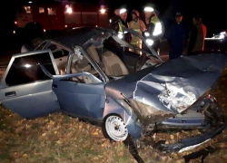 "Десятка" сбила насмерть лошадь на трассе Ставрополья - два человека получили переломы лица