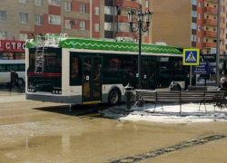 На улицах Ставрополя с 23 марта будет ездить троллейбус «без рожек»