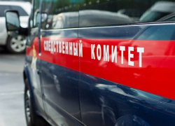 На Ставрополье мужчина отъезжал назад и задавил двухлетнюю дочь