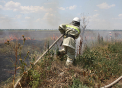 Конюшня с жеребцами едва не сгорела на Ставрополье