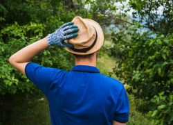 В ставропольском Россельхозцентре рассказали, почему осенью стоит перекапывать огород