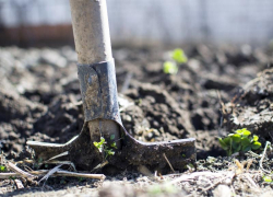 На Ставрополье житель хутора забил до смерти и закопал сожительницу на своем участке