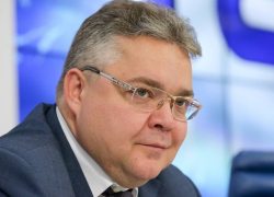 Правительство края закупает новогодние подарки на 655 тысяч рублей со странным содержимым