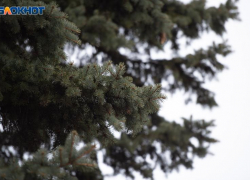 Заморозки до -1 градуса и туман вернутся на Ставрополье 4 декабря