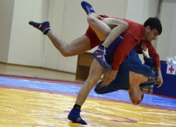 На Ставрополье прибавилось мастеров спорта по самбо