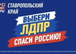 ЛДПР стала самой эффективной оппозиционной партией в Госдуме VIII созыва