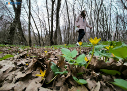  Два населенных пункта Ставрополья вошли десятку самых жарких в России