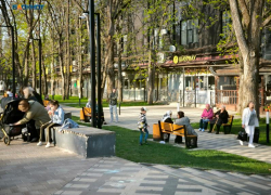 Обрезка деревьев оставит несколько улиц Ставрополя временно без света 7 августа