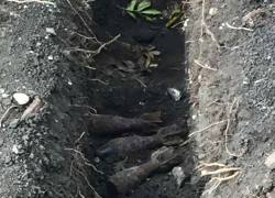 Мины из сквера Пятигорска вывезут и уничтожат