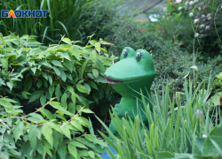 Жаркая суббота ждет ставропольцев после Дня всех влюбленных