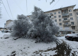 Сильный снегопад повалил деревья и оставил дома без тепла в Кисловодске