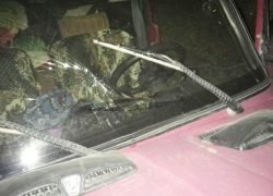 Водитель "шестерки" погиб после столкновения с деревом на Ставрополье 