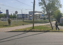 Ставропольские аллергики получили график бомбардировок от амброзии на следующую неделю