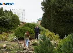 Статус курорта может получить город Лермонтов после вступления в особую экономическую зону