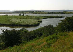 Поджигателя поля около озера Кравцово удалось вычислить в Ставрополе