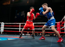 Ставропольские боксеры привезли медали из Минска и Грозного 