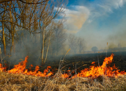 Очередные угрозы пожаров возможны на Ставрополье