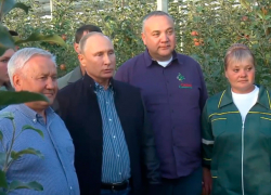 Президент России поздравил всех работников сельского хозяйства со Ставрополья
