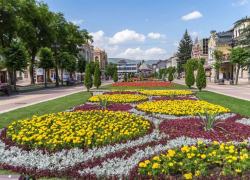 Созданную по поручению президента администрацию КМВ упразднили краевые чиновники