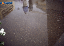 В Международный женский день жителей Ставрополья ждет жара до +18