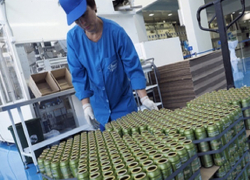 Шесть миллиардов рублей потратят на развитие двух проектов на Ставрополье 