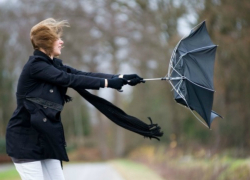 Летающий подоконник и гнущаяся ель: как спасатели устраняли последствия сильного ветра в Ставрополе