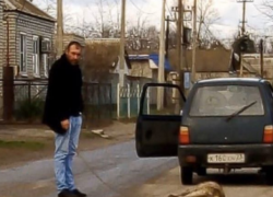 Живодер привязал собаку к движущемуся авто на Ставрополье