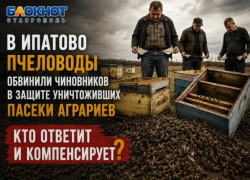 Пчелы дохнут, чиновники молчат: ставропольские пасечники выступили с заявлением после массовой гибели насекомых