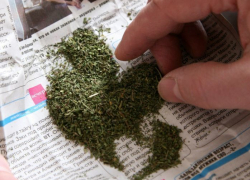 Очередного наркодилера задержали на Ставрополье