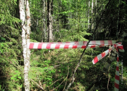 Ужасное убийство в ставропольском лесу раскрыто