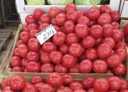 Огурцы сдались, помидоры держат оборону: Севкавказстат зафиксировал овощную войну на Ставрополье