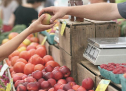 Депутат ставропольской гордумы продавал бесплатные места на участие в ярмарках